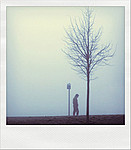Polaroid Dreams